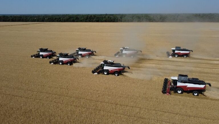 Russian farmers fight to salvage harvest as major region cuts forecast