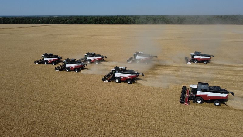 Russian farmers fight to salvage harvest as major region cuts forecast