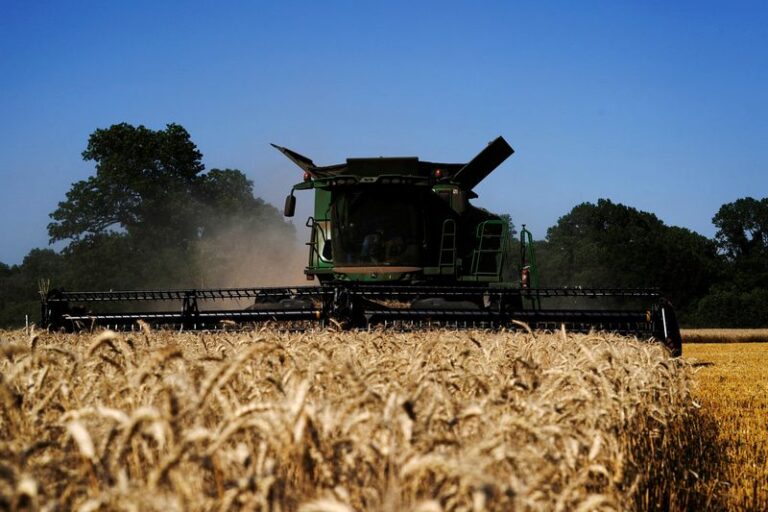 Cooling prices chill drive to add wheat acres in US Corn Belt