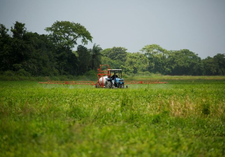 Venezuela’s rice, corn production rise as buyers loan farmers supplies