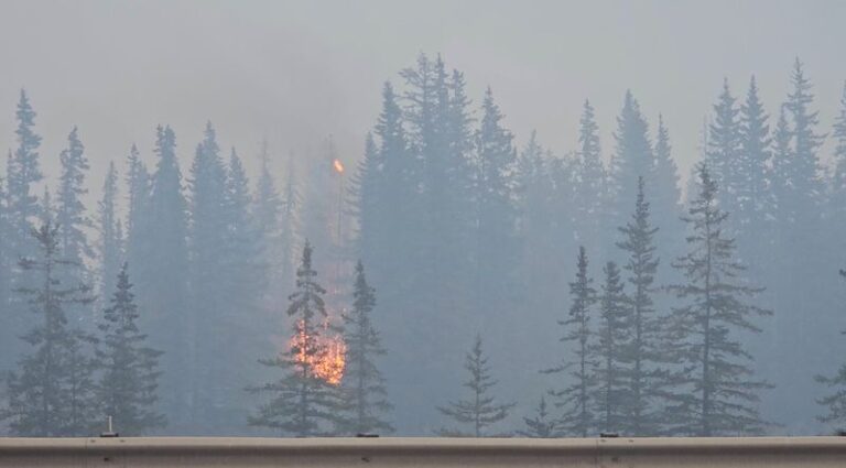 Canadian wildfire reaches Jasper, firefighters battle to protect oil pipeline