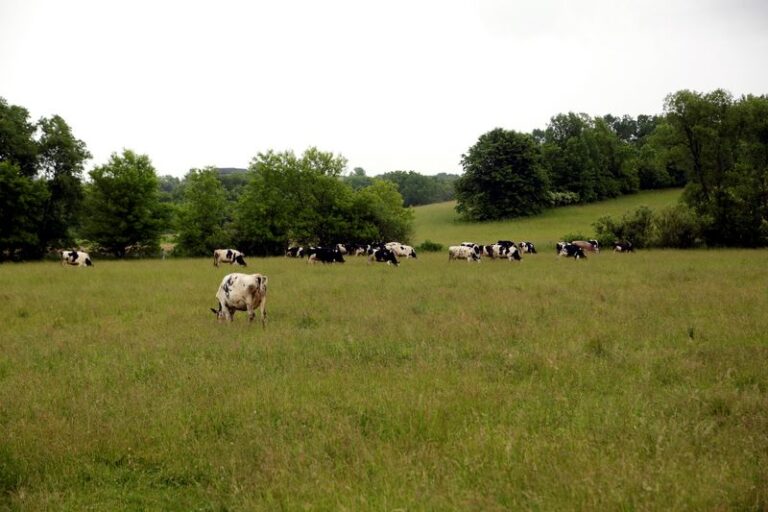 US farm agency to provide discrimination payments to 43,000 farmers