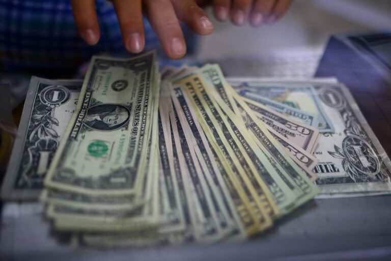 Dollar near two-week highs ahead of labour data deluge