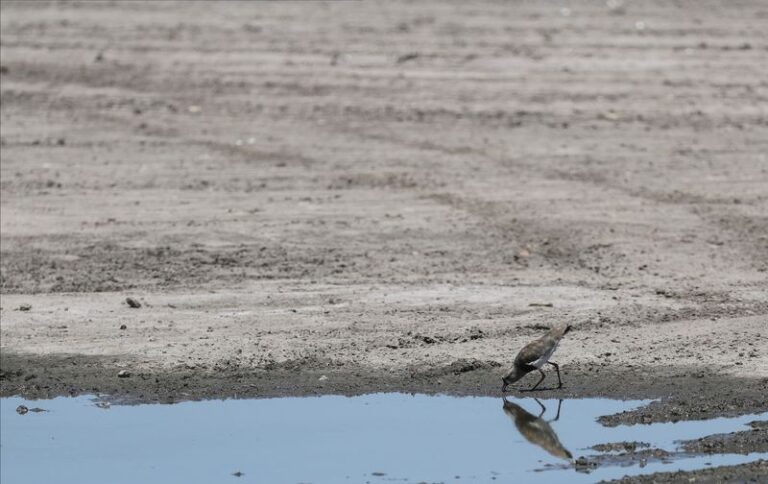 La Nina weather 71% likely to develop in Sept-Nov, says US forecaster