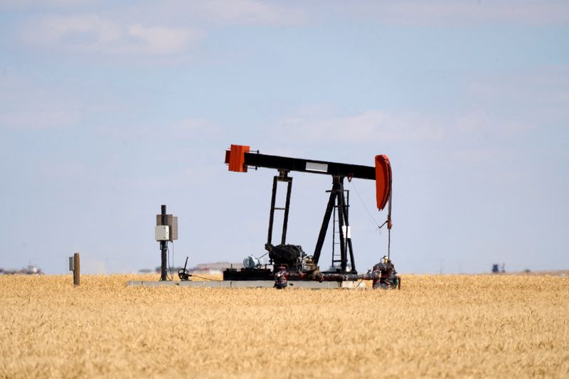 Oil price rally steers crude towards weekly gain