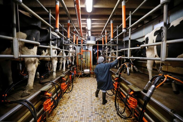 EU challenges China’s dairy product probe at WTO