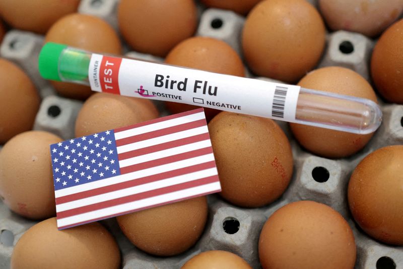 Bird flu cases presumed in four Washington farm workers, state says