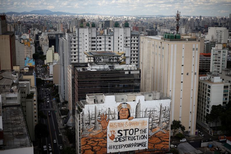 Giant mural in Sao Paulo uses ash from wildfires to highlight deforestation