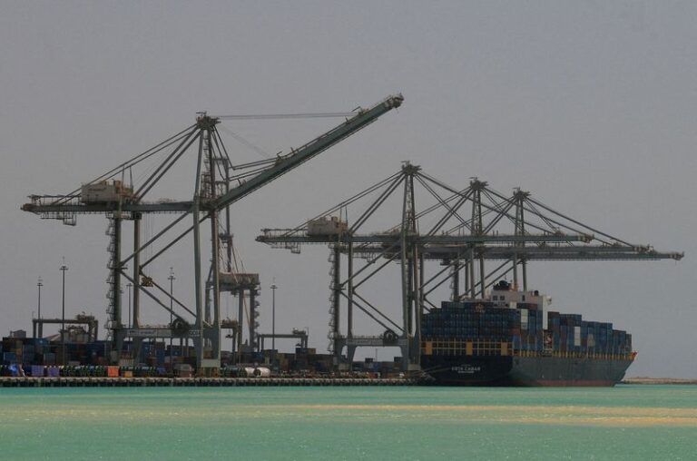 Suez Canal Economic Zone set for rapid expansion – chairman