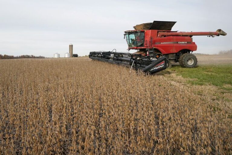 Analysis-US farmers back Trump but face pain from China tariff threats