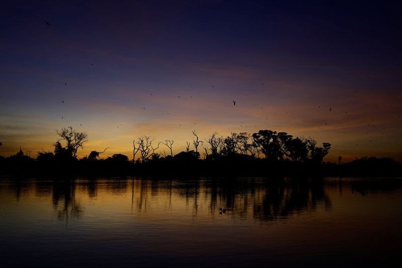 Tropical wetlands are releasing a methane bomb, threatening climate plans