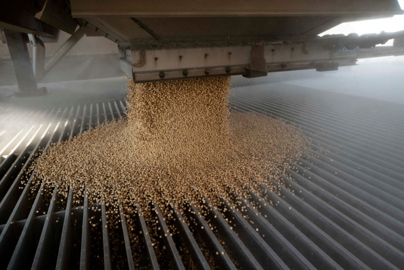 Exclusive-China’s state importer books US soy purchases as tariff threat looms