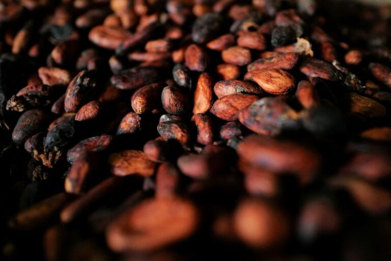 What are cocoa futures, and how do they work?