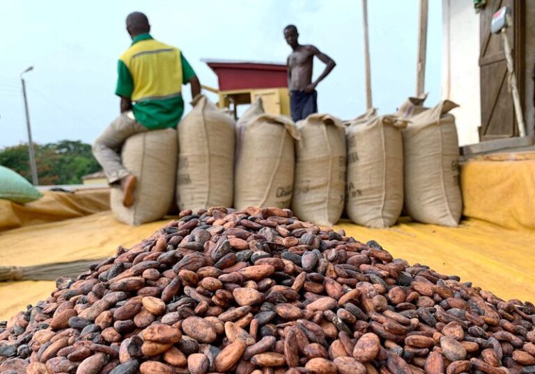 How a hedge fund exodus reshaped global cocoa markets 