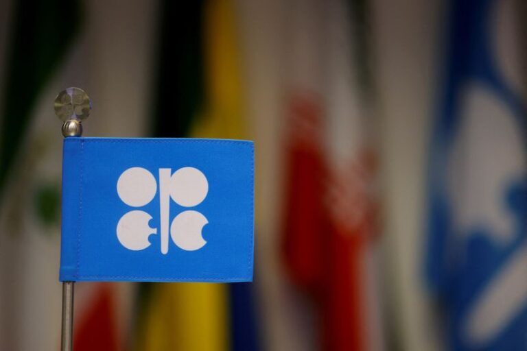 OPEC oil output rises in November as Libya recovers, survey finds