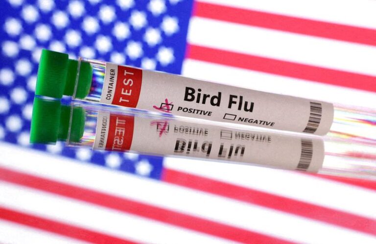 Exclusive-US issues order mandating bird flu testing of milk supply