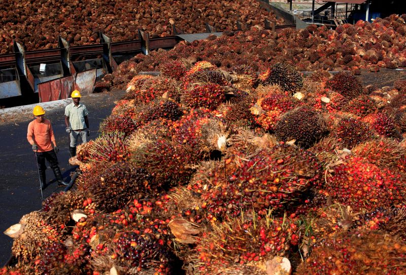 Malaysian palm oil stocks hit 19-month low in December as output drops