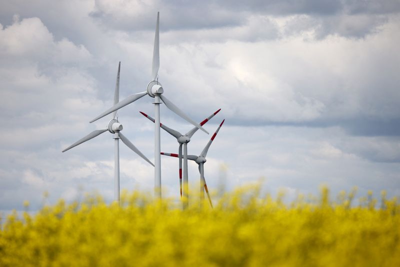 EU’s 2024 new wind capacity less than half amount needed for climate goal, industry group says