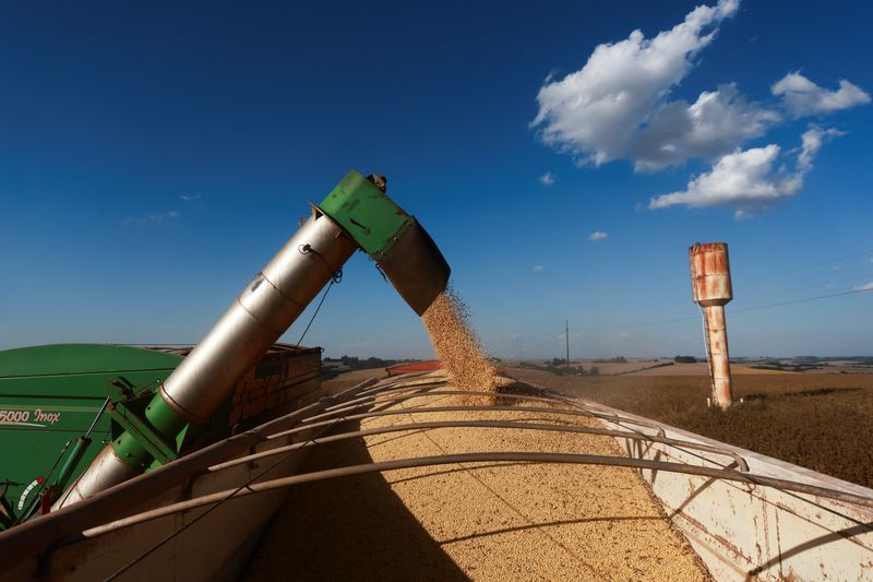 Exclusive-Brazilian soy shipments to China from five firms halted, sources say